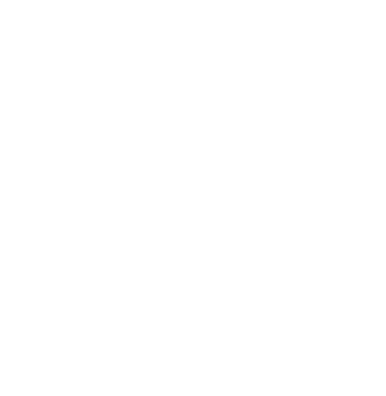 Hajj Security