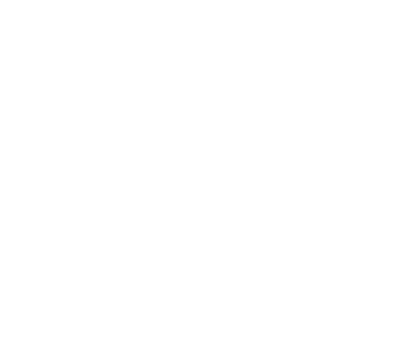 sas